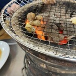 あかぎ - チリチリしていて網から落ちちゃう‼︎