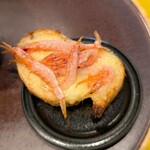 エロン･ソンドレ - 