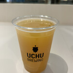UCHU BREWING - このジューシーさ