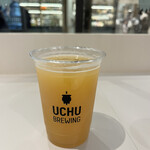 UCHU BREWING 麻布台 - オプシディアンタワー