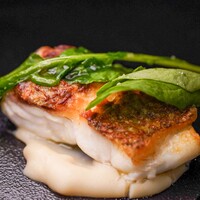 イリエスケープ - 