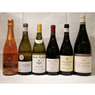 オステルリー・スズキ_1