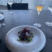 International cuisine subzero - 