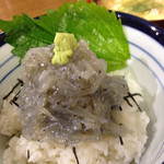 お食事処 渡舟 - 生しらす たっぷり丼 ＋しらす入り卵汁