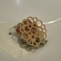 Noeud.×THE CHEF'S - 