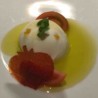 L'atelier de oto - 