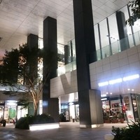 ビフトロ バイ ラ コクシネル - 