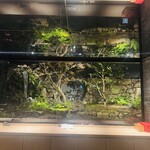 鮨shizuku 西天満 - 