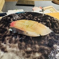 鮨shizuku 西天満 - 縞鯵