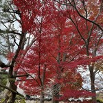 邸宅レストラン　雅俗山荘 - 見事な紅葉