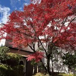 邸宅レストラン　雅俗山荘 - 紅葉が美しい