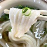 なかむら - かけ小¥250内　うまい。ヨレヨレとしていて細め、とても柔らかそうと思いながら口にすると噛んだ瞬間のグニュ！軟らかいのに噛み切るまでが硬い。面白い。ネギが青々としていてよかった。