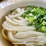 なかむら - かけ小¥250内　うまい。ヨレヨレとしていて細め、とても柔らかそうと思いながら口にすると噛んだ瞬間のグニュ！軟らかいのに噛み切るまでが硬い。面白い。ネギが青々としていてよかった。