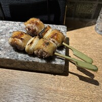 始祖鳥 - 