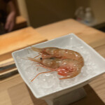 atelier 森本 XEX 寿司 - 