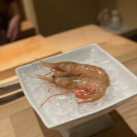 atelier 森本 XEX 寿司 - 