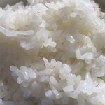 みんなの家庭科室 - 精米はほどほどに、栄養がのこるようにしてありました
      薄黄色の胚芽が残り、みずみずしいモチモチごはん