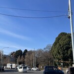 松乃家 - 平塚線のイチョウは完全に終了していた