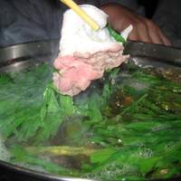 土佐料理 祢保希 銀座店 - しゃぶしゃぶ