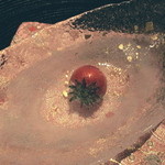 龍吟 - １粒の苺に見立てた飴