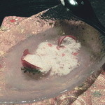 龍吟 - スプーンで叩くとパウダー状に…