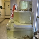 テジョンデ 鮮 サンナッチ館 - イイダコの入った水槽。ここから生け捕りします。