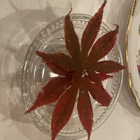 トレフミヤモト - 