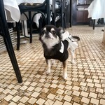 ALLO - 