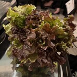 シガン 生サムギョプサル専門店 - 