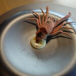 メゾン ケイ - コシオリエビ