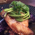 クードクール - 