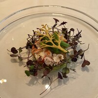シトロニエ - 足赤海老とインゲンのムースのサラダ仕立て