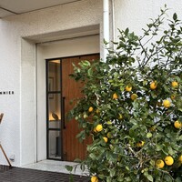 シトロニエ - シトロニエにシトロンが鈴なり