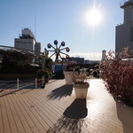 NIBOSHI MANIA - かまたえん