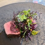 レヴォ - ⑰薪焼き熟成日本鹿肉(富山県産、専属猟師仕留、自店工房での血・内臓抜・解体)、日本鹿のジュのソース、薪焼き腐葉土&塩釜包み焼き赤蕪添え、白蕪のキャラメリゼ、ハーブリーフ載せ、完熟山椒を散らして