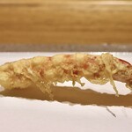 玄水 - 三河の天然海老