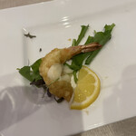 コーヴォ ウタヅ - 