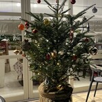 コーヴォ ウタヅ - 