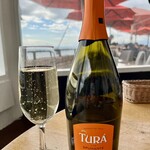 アマルフィイ デラセーラ - 