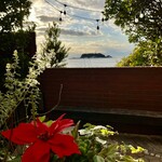 アマルフィイ デラセーラ - 