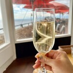 アマルフィイ デラセーラ - 