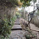 アマルフィイ デラセーラ - 