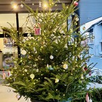 本町 カメリヤ - 