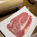 裏の山の木の子 - 