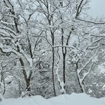 レヴォ - 白銀の世界(´∀｀)