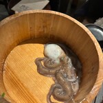 韓国料理 ナッチャン 三軒茶屋店 - 