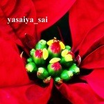Yasaiya Sai - サービス
