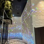 intellctuary - プロジェクションマッピング！