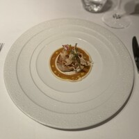 ジョンティ アッシュ - 