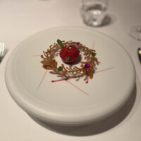 ジョンティ アッシュ - 